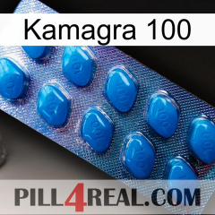 Kamagra 100 viagra1